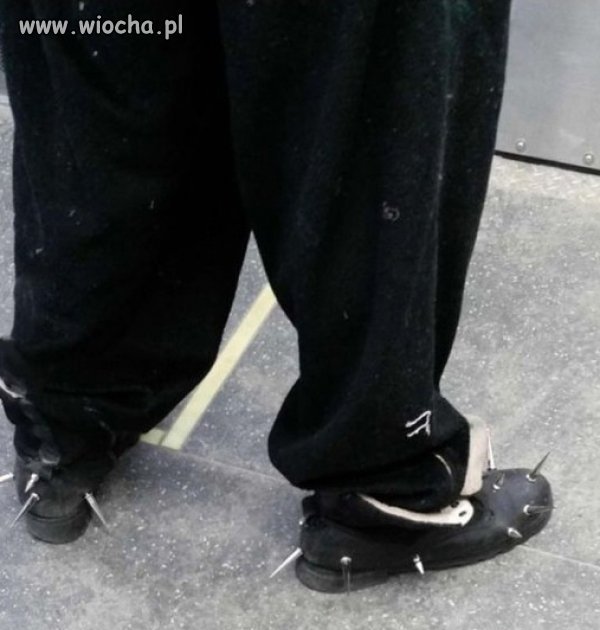 Polecam buty marki...
