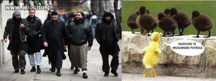 Wystarczy nie sprzątać kilka dni i bród jest...