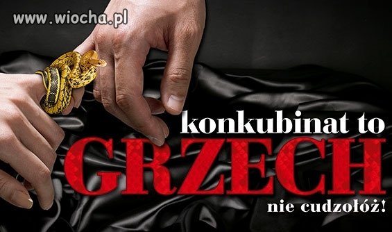 Głupota kościoła 