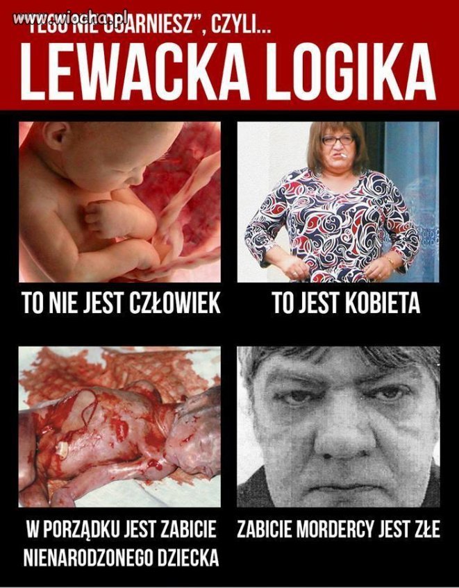 Poprawność polityczna w UE...