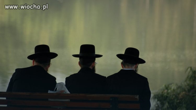 Na Światowym Kongresie Żydów stwierdzili, że: