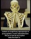 Niektórzy wierzą w urzędy 