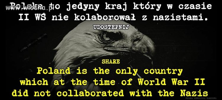 I taki przekaz powinien iść w świat!