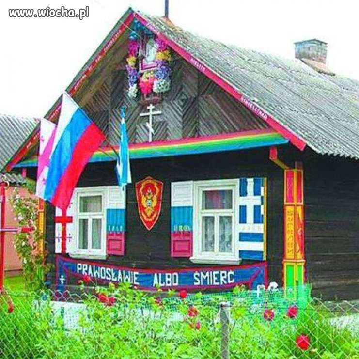 Szaleństwo miewa różne oblicza