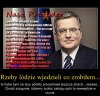 Cały Bronek