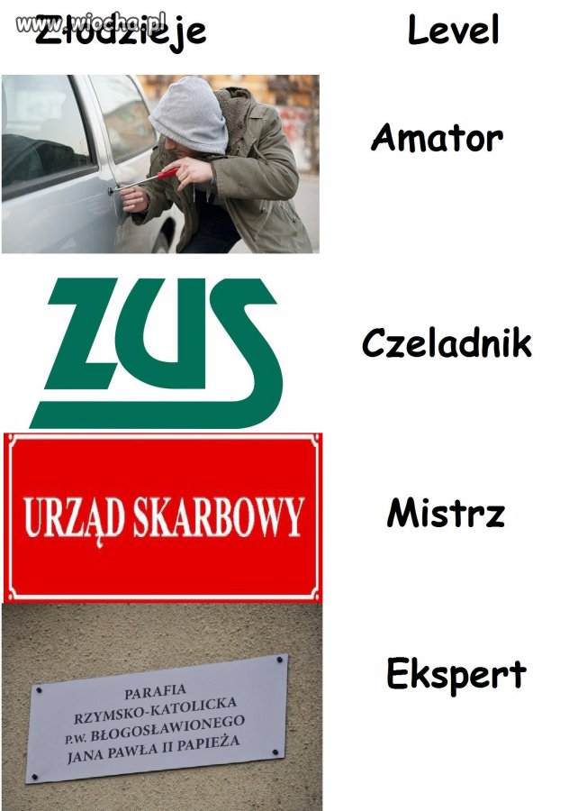Kto kradnie w Polsce 