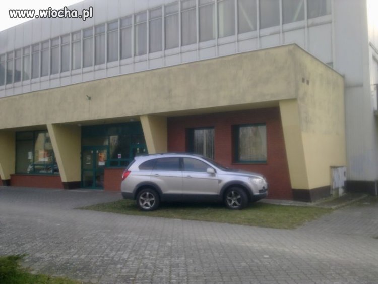 Uff, udało się znaleźć kawałek trawnika 