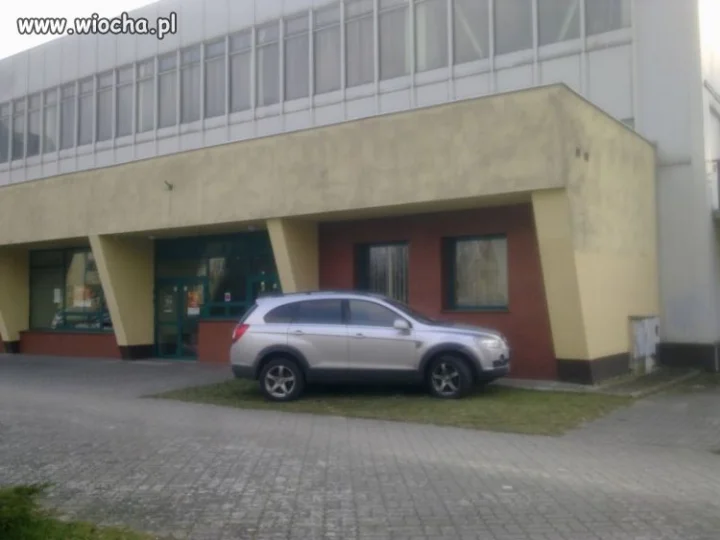 Uff, udało się znaleźć kawałek trawnika 