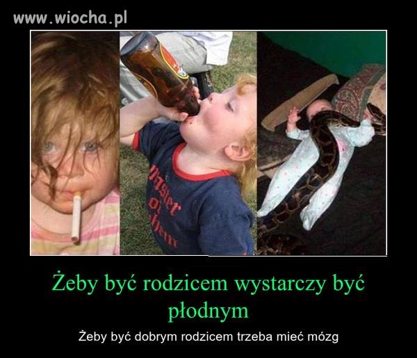 Moi rodzice to idioci