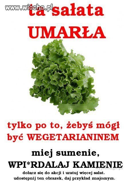Wegetarianie vs "mięsożercy"   