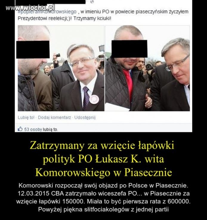 Koledzy z PO