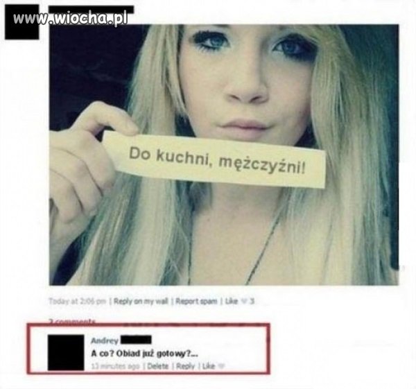 Feministka vs