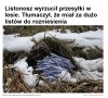 Firmy kurierskie i przesyłkowe, zatrudnianie