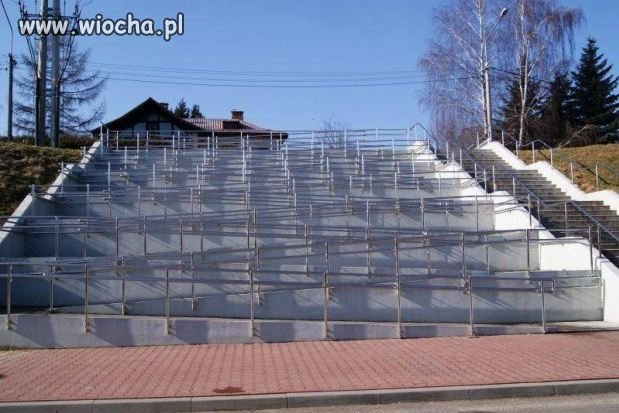 Tężyzna fizyczna niepełnosprawnych...