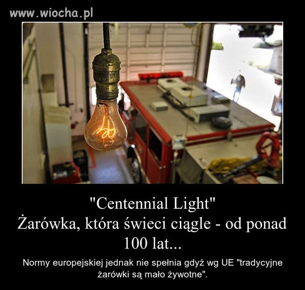 Bo *urzędnicy* z Unii