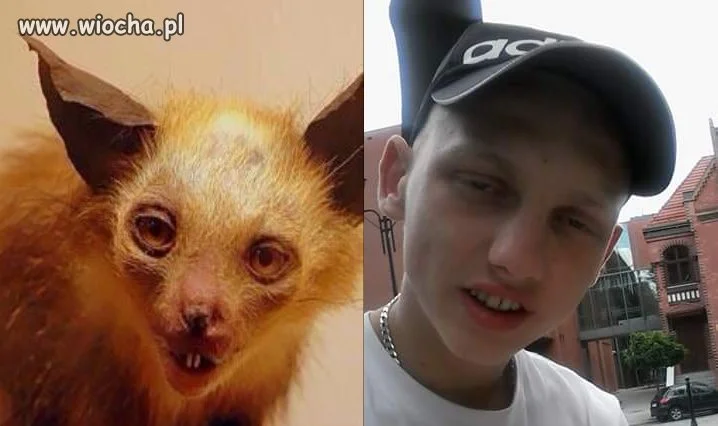 Zajdź różnicę