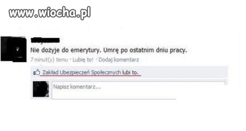 ZUS lubi to