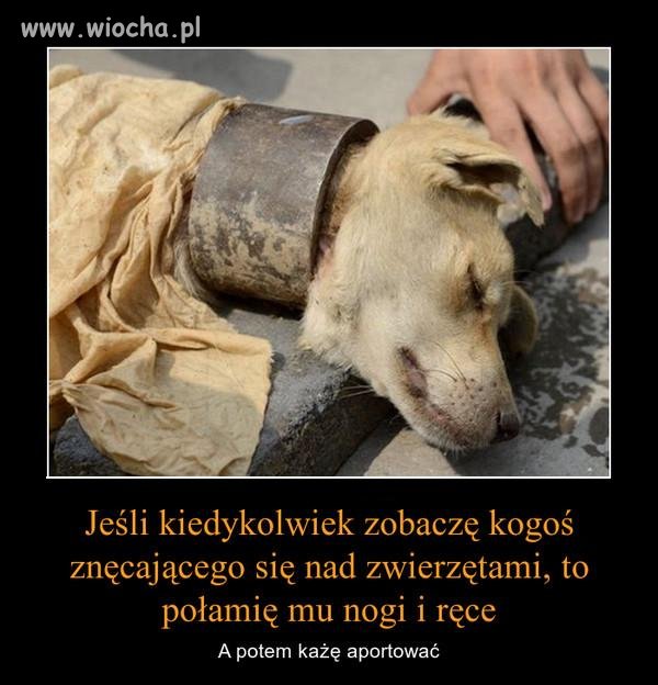 Nie wiem jak tak można