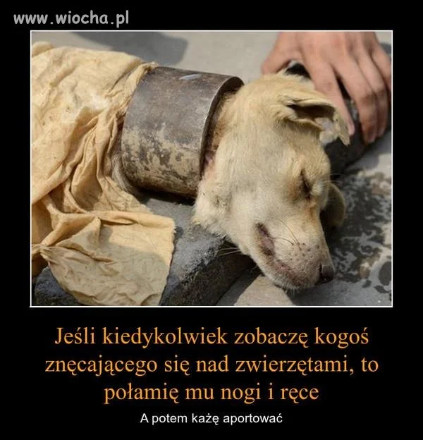 Nie wiem jak tak można