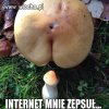 A ty co myslałeś