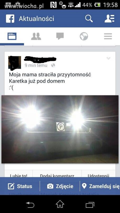 Troskliwy syn.