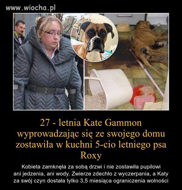 To chyba można tylko nazwać sadyzmem