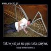 Imprezowe szaleństwo