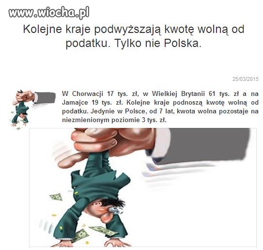 Polska Zielona wyspa LEMINGÓW