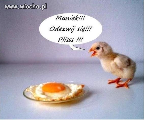 Biedny maniek