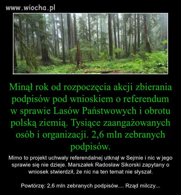 2,6mln zebranych podpisów na nic?