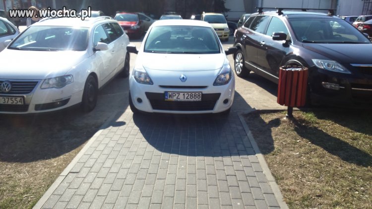 Eleganckie parkowanie UKSW