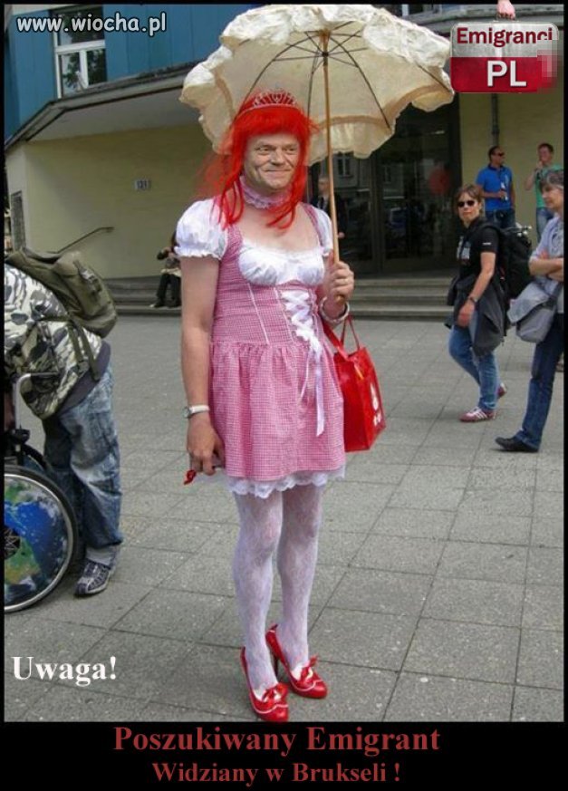 Winny wielu kradzieży i oszustw. 
