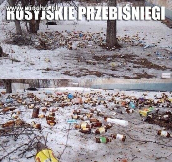Przebiśniegi