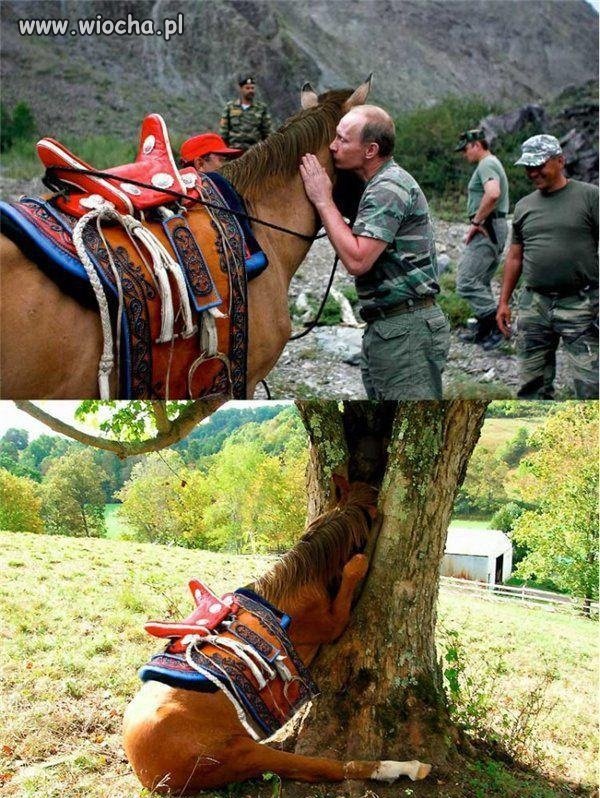 Koń po spotkaniu z Putinem