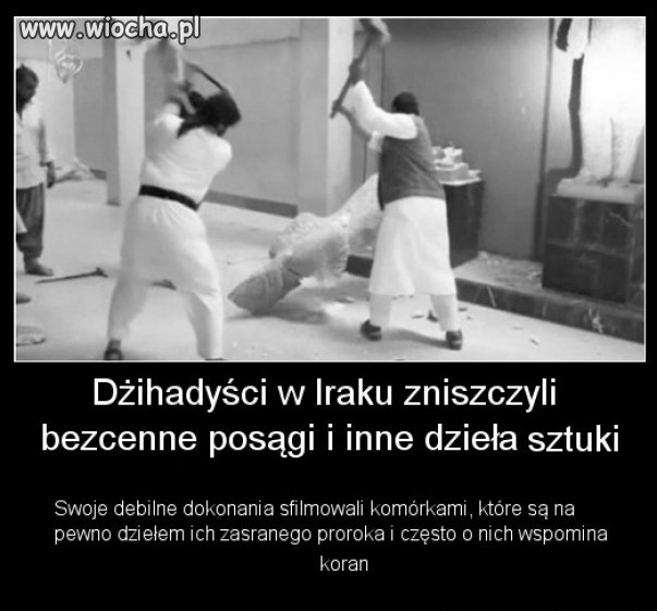 Hipokryzja ciapatych kretynów