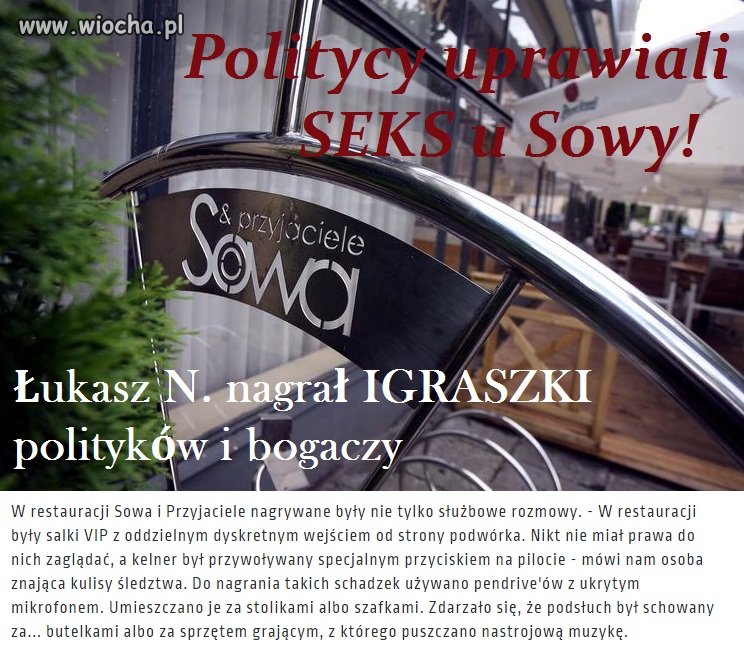 Sowa i przyjaciele