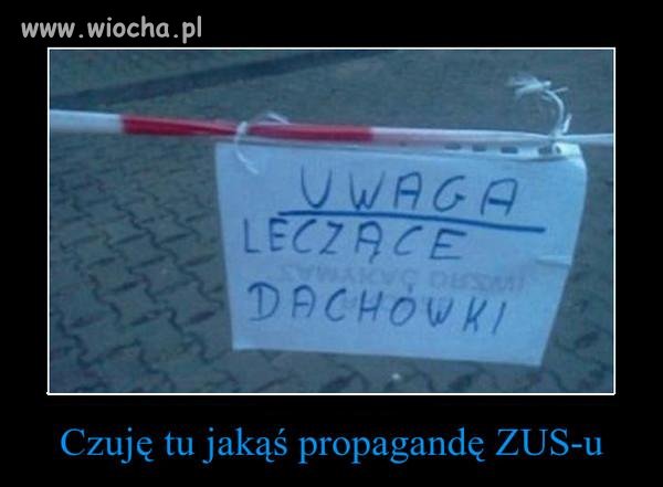 Język Polski być trudny...