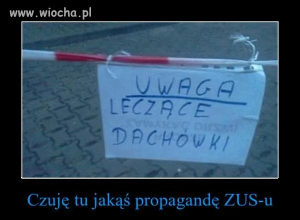 Język Polski być trudny...