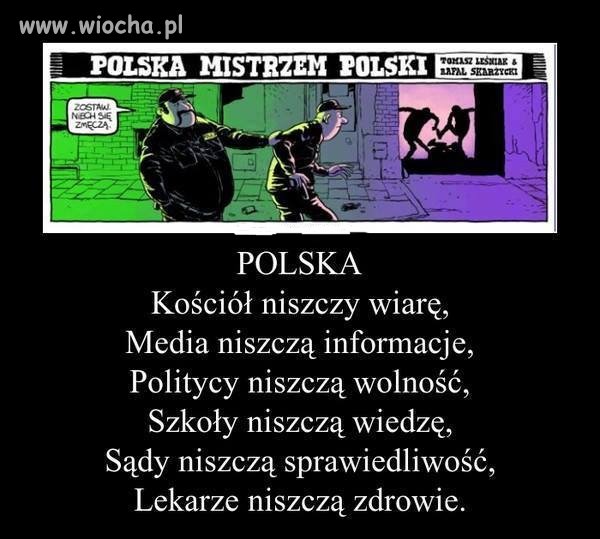 Ani krztyny