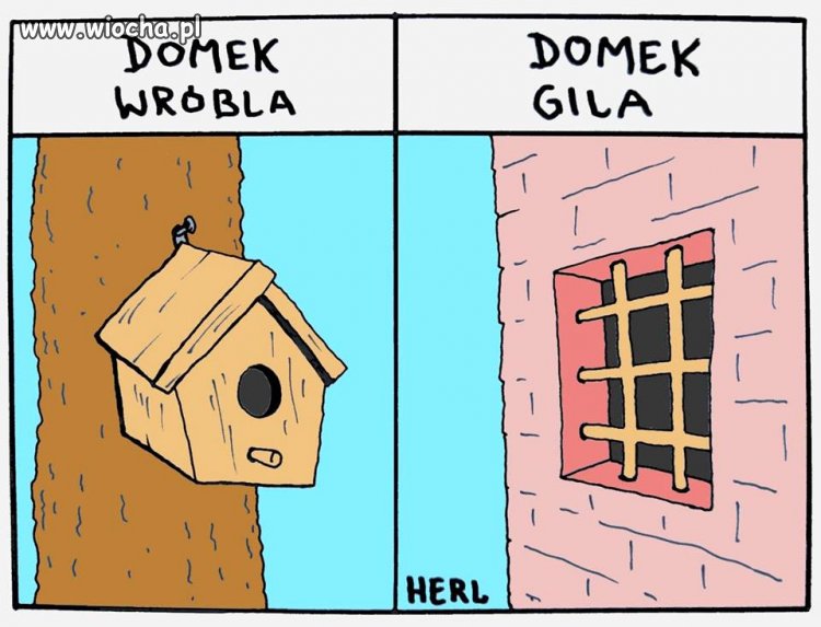 Oczywiście to znów atak na kościół...