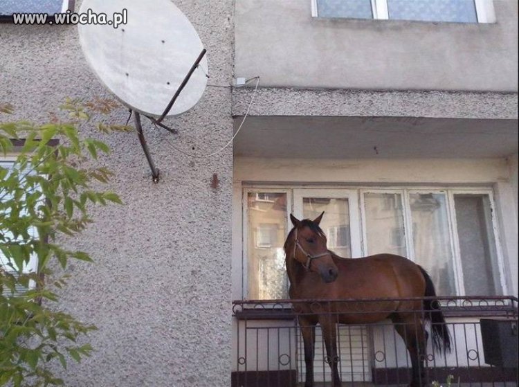 Czy jest suchy chleb 