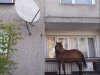 Czy jest suchy chleb 