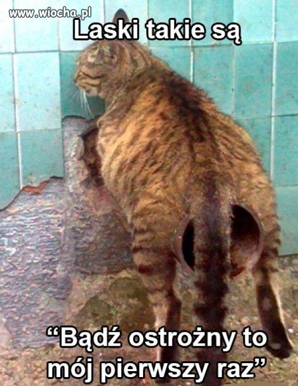 Laski takie są