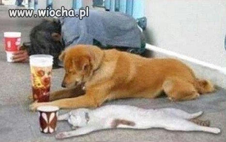 Czasy są ciężkie...