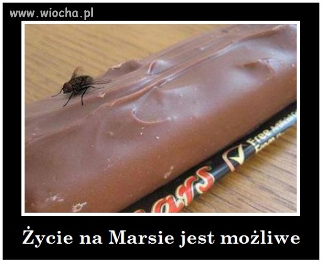 Życie na Marsie