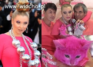 Rosyjska celebrytka ZAFARBOWAŁA KOTA na różowo! 