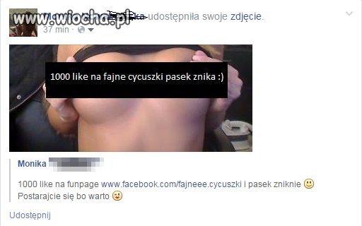 Mistrzyni marketingu i promocji 