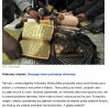 Islamski tłum zatłukł kobietę na śmierć.