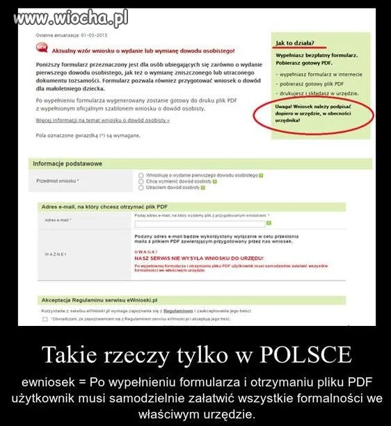 Kłody..