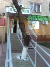 Podjazd dla inwalidów